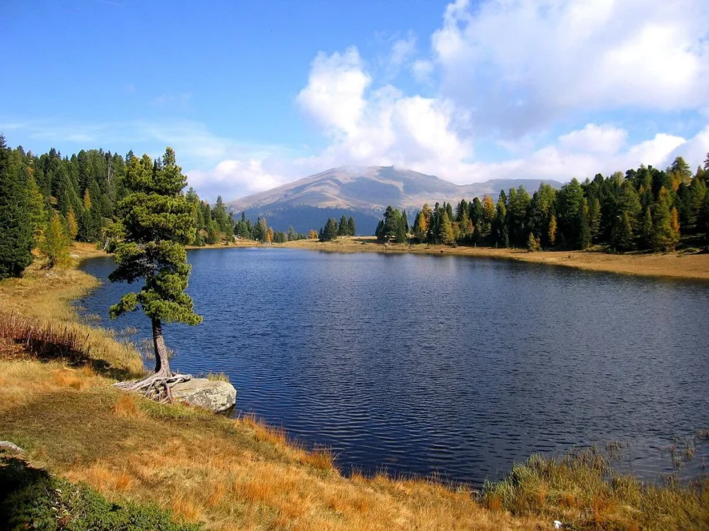 Un lac entouré d'arbres dans la montagne